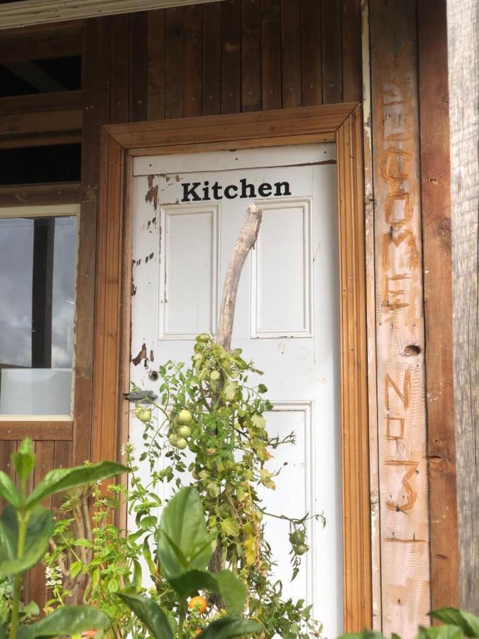 No 3 @ Bed In A Shed B&Bs Watervale Exterior foto