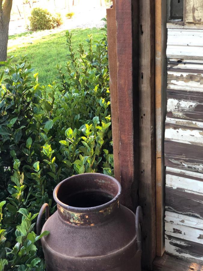 No 3 @ Bed In A Shed B&Bs Watervale Exterior foto
